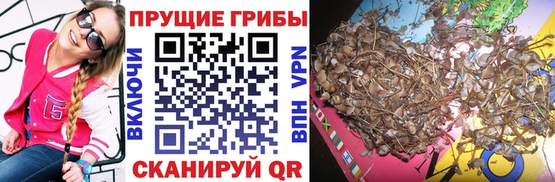 мориарти как зайти Хвалынск Галлюциногенные грибы прущие грибы